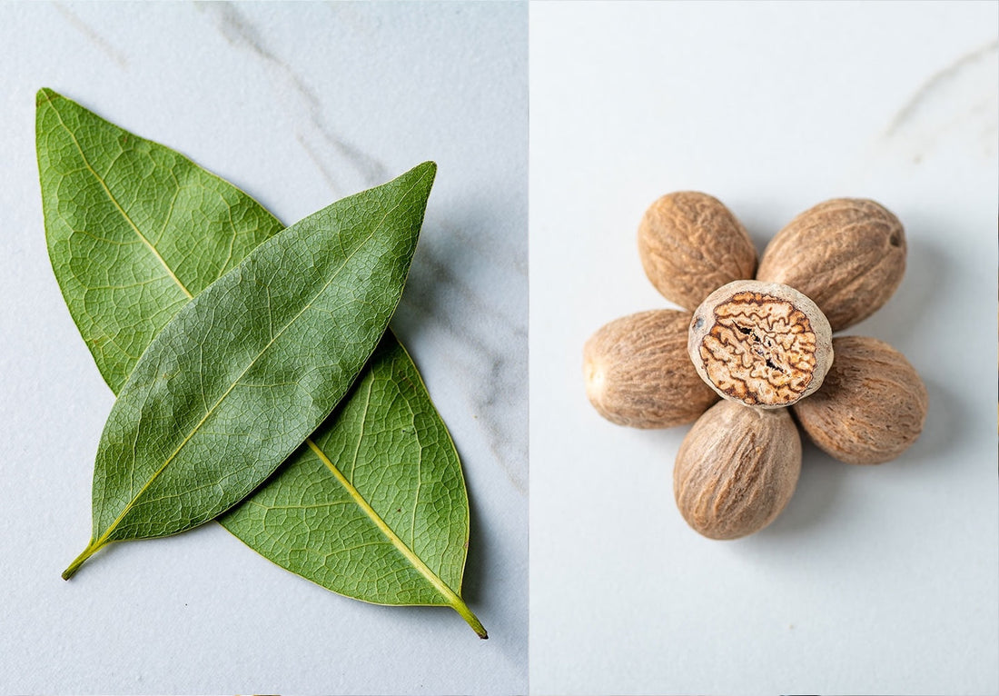 Spices 101: The Difference Between Herbs and Spices