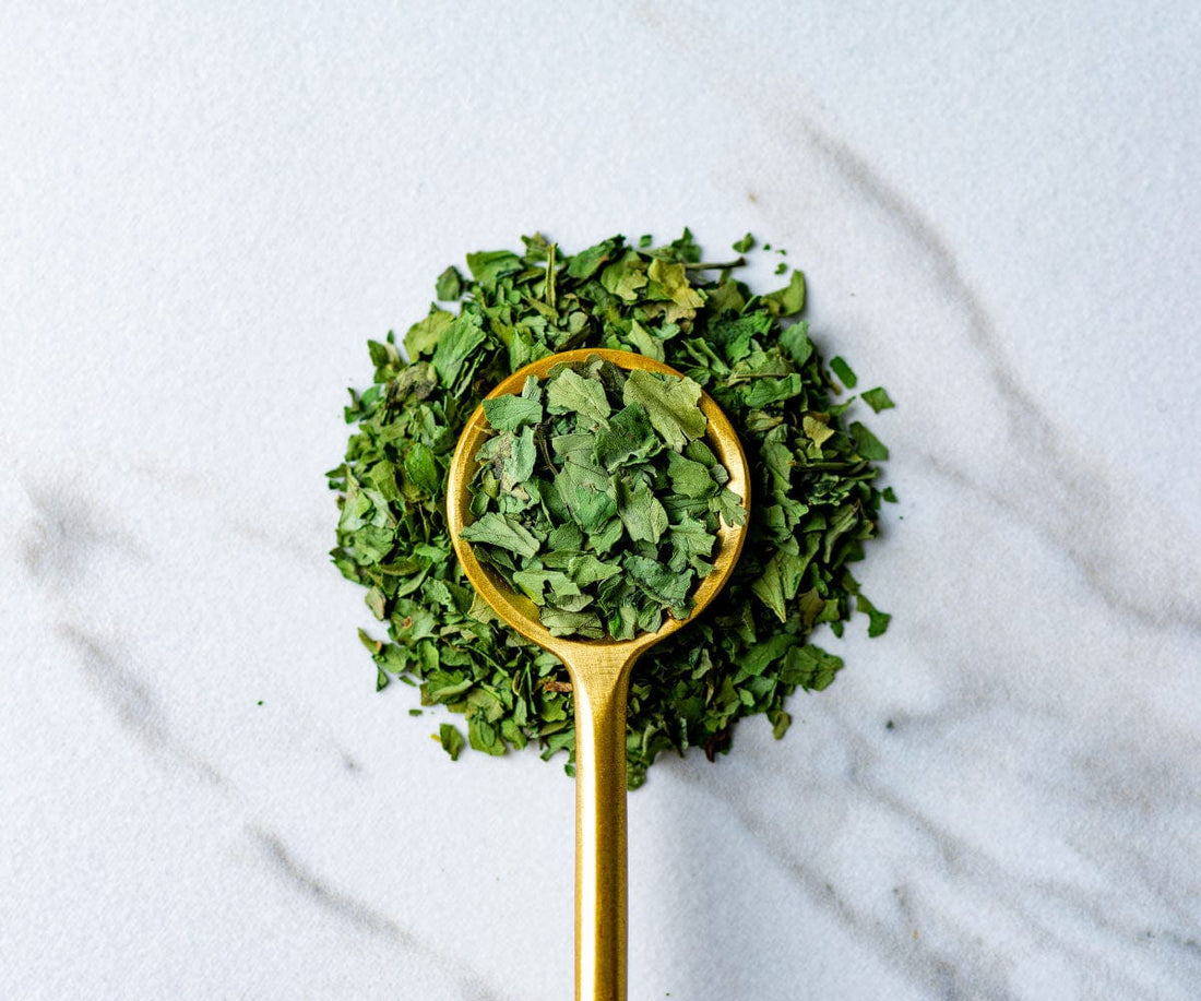 Behind the Seasoning: Cilantro