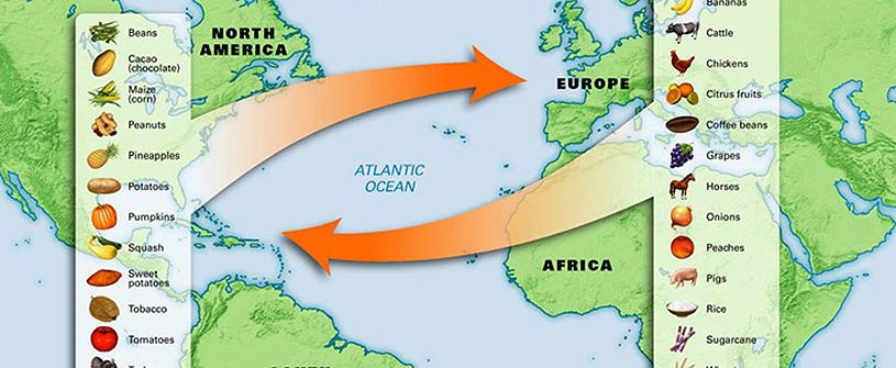 The Columbian Exchange: How One Voyage Reshaped Every Kitchen in the World