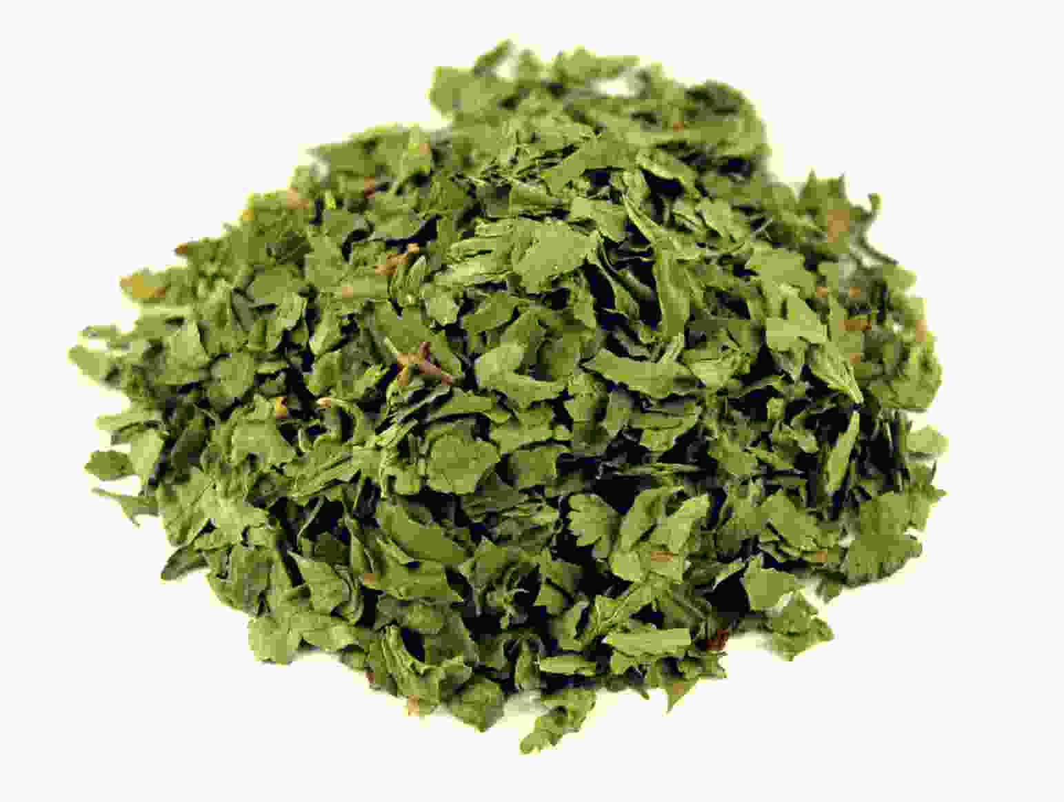 Cilantro 