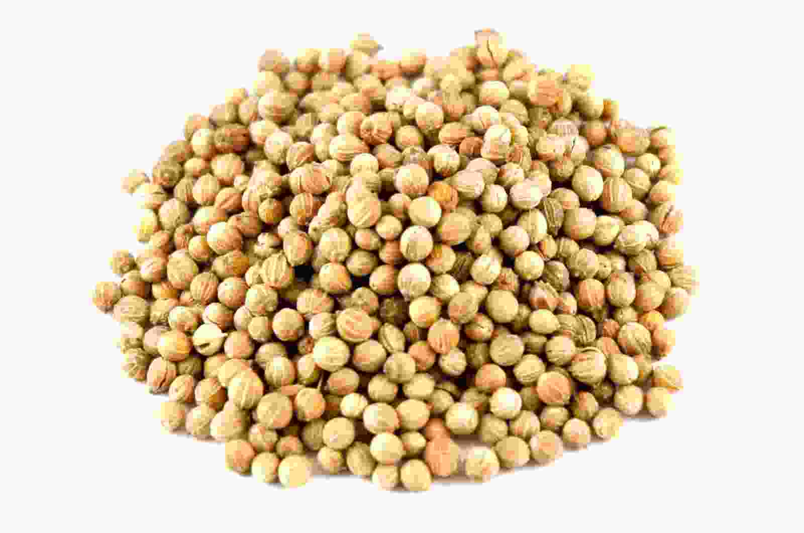 Coriander Seeds 