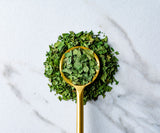 Cilantro